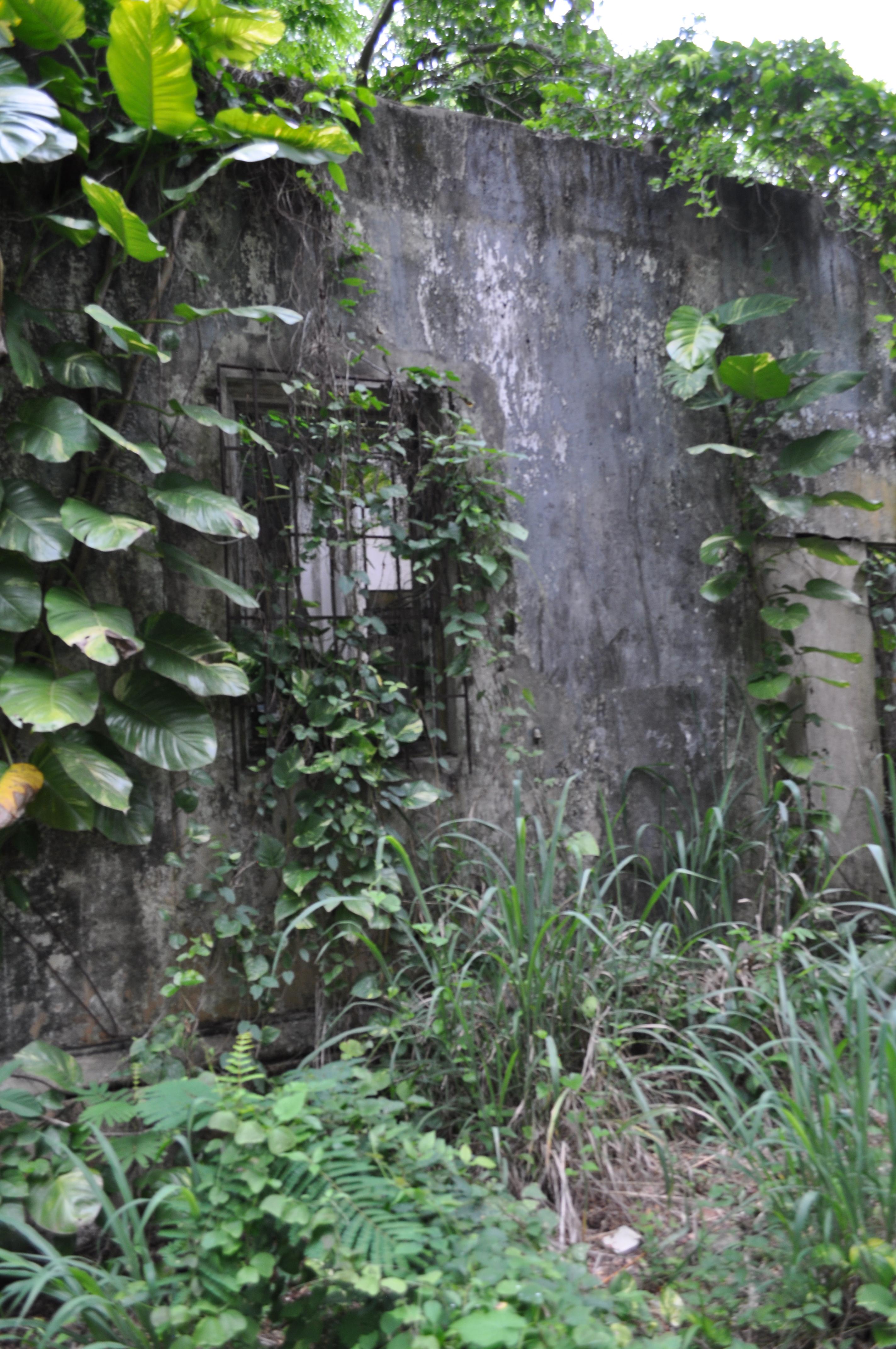 Antigua Lechería y Residencia de la Facultad de la Universidad de Puerto Rico - San Juan (Río Piedras) - 2015 00049
